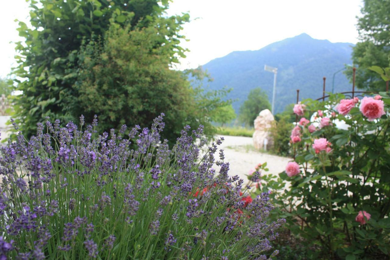 Landlust Ischl Panzió Bad Ischl Kültér fotó